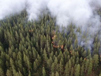 Несколько очагов возгораний потушили на крупном лесном пожаре в Среднеколымском районе