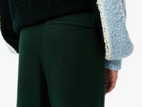 Мужские хлопковые спортивные брюки Lacoste оверсайз