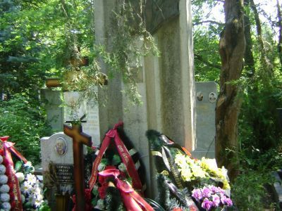 Могила Н.С. Провоторова (1918 - 1974), народного артиста РСФСР