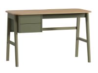 Письменный стол Бревор-3 120x60 Дуб Барбера/Оливковый
