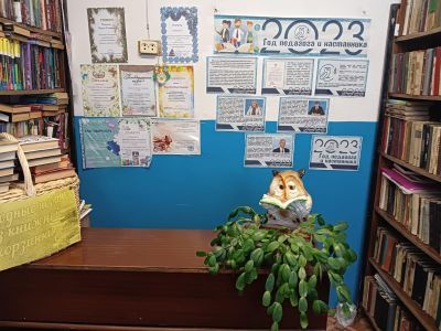 Нельшинская сельская библиотека