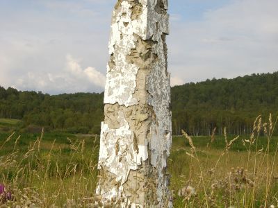 Братская могила партизан, погибших за власть Советов