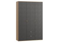 Распашной шкаф Монблан 3-139x215 Косы Графитовый