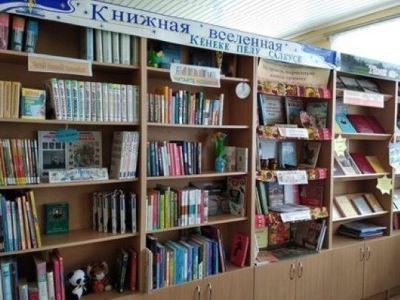 Чубаевская сельская библиотека