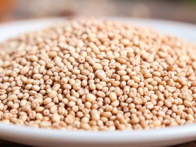 Сорго: польза и вред для организма