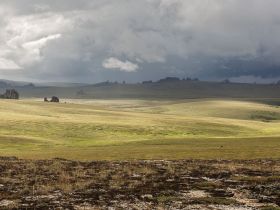 Каменные Люди Сундуруна