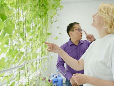 Вертикальное озеленение планируют внедрить в Якутске