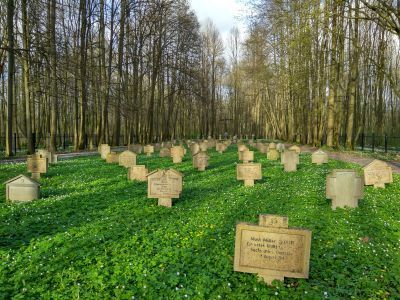 Захоронение русских и немецких воинов, погибших в августе 1914 года