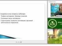 Мотивация трудовой деятельности персонала: основные понятия, виды, модели