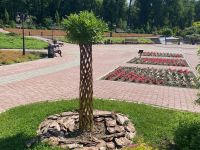 Дендрарий г. Выксы