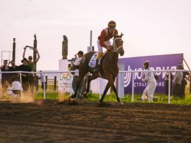 Победу на конных скачках на призы главы Якутии одержал скакун Атомик Бой