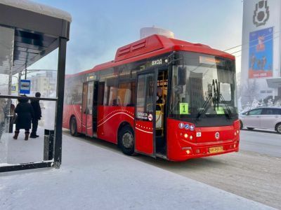 Еще 74 новых автобуса планируют закупить в Якутске в этом году