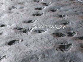 Фотофакт: в Верхнеколымском районе медведь вышел из зимней спячки раньше срока