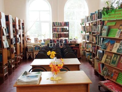 Большепикинская библиотека