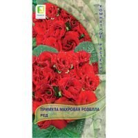 Примула махровая Розелла Ред