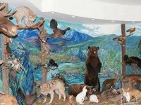 Карпинский краеведческий музей