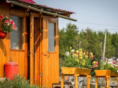 Как сохранить деревянные постройки: советы для долговечности сараев и беседок