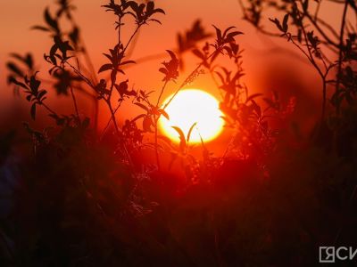 Ученые предупредили о повышенной солнечной активности