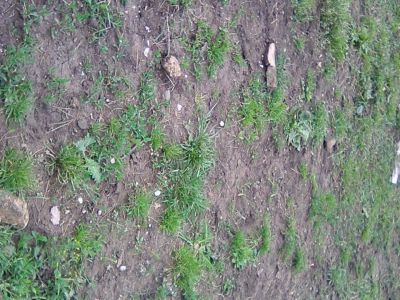 Памятник воинам, погибшим в Гражданской войне