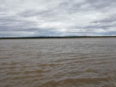 Родственники опознали тело утонувшей в Усть-Майском районе девушки