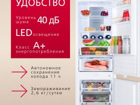 Встраиваемый холодильник Hansa BK307.2NFZC