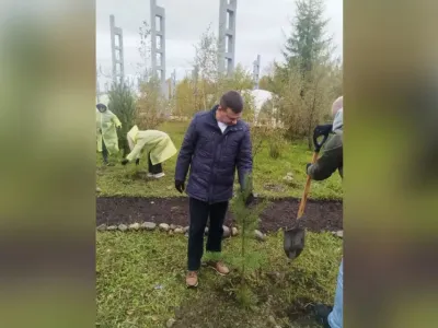 4000 сосен на месте БЦБК: Сбер стал партнером международного лесовосстановительного форума