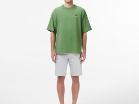 Мужская хлопковая футболка Lacoste
