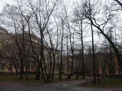 Сад "Старый"
