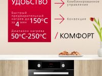 Духовой шкаф Hansa BOES68411