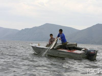 Справку о маломерных судах теперь можно получить на «Госуслугах»