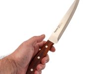 Набор из 5 кухонных ножей Fissman Maximus в деревянной подставке