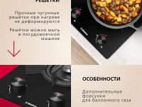 Газовая панель Hansa BHKS330500