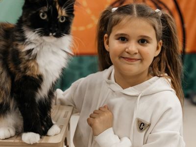 Мурфест. Выставка кошек