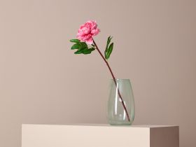 Цветок Peony