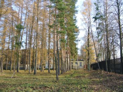 "Карамзинская" аллея