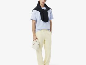 Мужская хлопковая футболка Lacoste