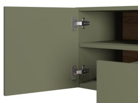 ТВ-тумба Имин 116x51 Оливковый