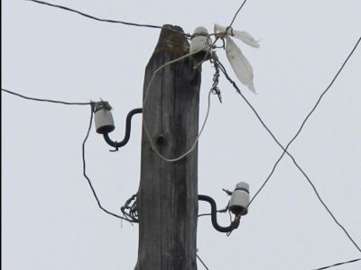 Расхитители электроэнергии возместили Якутскэнерго более 5 млн рублей