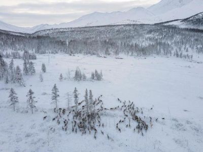 Приоритет-2030. Якутский ученый  прогнозирует тенденции развития Крайнего Севера