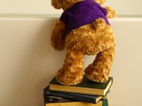 Плюшевый мишка Playtoday, 40 см