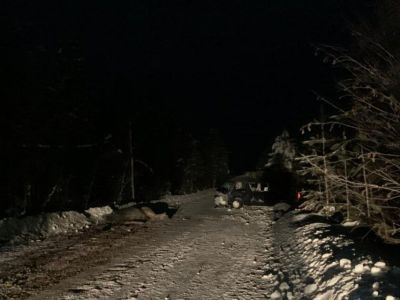 Водитель наехал на двух лошадей в Сунтарском районе Якутии