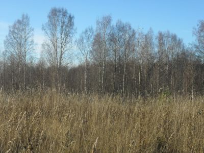 Амбар