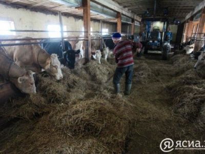 Фермер Айтал Неустроев: Развитие крестьянских хозяйств особенно важно в послании главы