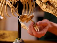 Jurassic World 76968 Конструктор Окаменелости динозавров: Тираннозавр рекс