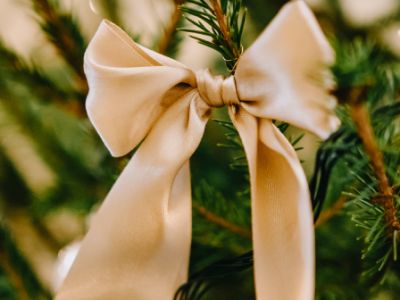 Новогодние приключения Иго-го! Новый год с конем