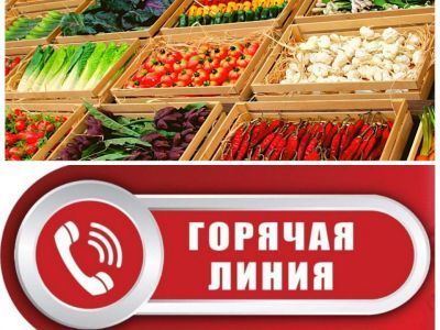 Внимание! «Горячая линия»  о качестве и безопасности плодоовощной продукции и срокам годности