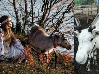 В социальных сетях проходит акция «Я — коренной!»