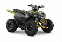 Квадроцикл ZUUMAV REPTIL 200