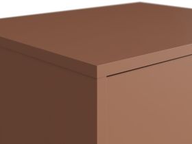 Распашной шкаф Торвалль 1.1-50x185 Терракотовый