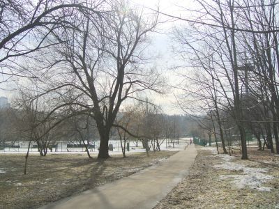 Парк Дворца творчества детей и юношества и парк 40-летия ВЛКСМ